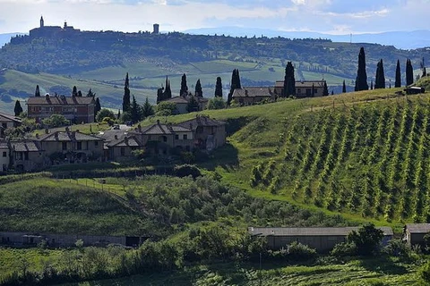 Một trang trại ở vùng Tuscany, miền Trung Italy. (Nguồn: Viaggi)