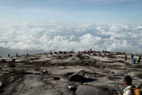 Những người leo núi bị mắc kẹt trên núi Kinabalu sau trận động đất. (Nguồn: themalaymailonline.com)
