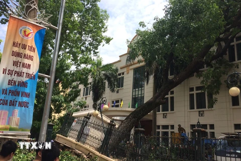 Tổ chức khắc phục hậu quả sự cố cây cổ thụ đổ, đè vào tòa nhà Viện Kiểm nghiệm thuốc Trung ương (Bộ Y tế). (Ảnh: Hải Anh/TTXVN) 