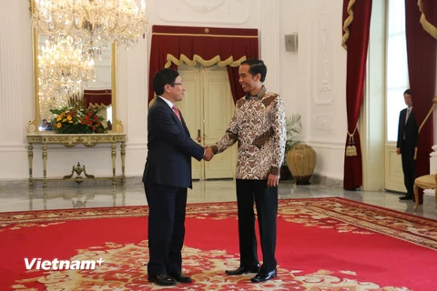 Phó Thủ tướng Phạm Bình Minh chào xã giao Tổng thống Indonesia. (Ảnh: Trần Hiệp/Vietnam+)