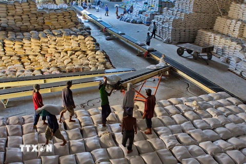 Bốc xếp gạo xuất khẩu tại Công ty cổ phần lương thực Hậu Giang. (Ảnh: Duy Khương/TTXVN)