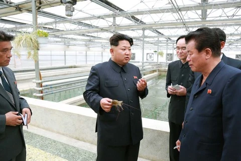 Nhà lãnh đạo Triều Tiên Kim Jong-Un tại công viên thủy sinh. (Nguồn: Getty)