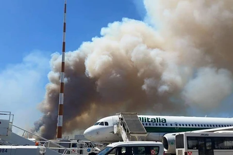 Khói bốc lên từ vụ cháy rừng thông cạnh sân bay Fiumicino. (Nguồn: internazionale.it)