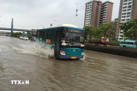 Cảnh ngập lụt tại Phúc Châu, tỉnh Phúc Kiến sau những trận mưa lớn do ảnh hưởng của bão Soudelor. (Nguồn: THX/TTXVN)
