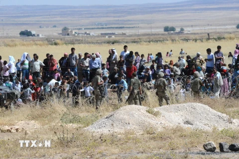 Binh sỹ Thổ Nhĩ Kỳ gác tại khu vực biên giới ở Suruc, tỉnh Sanliurfa, nơi người Kurd chạy khỏi thị trấn Kobane, Syria sau các vụ tấn công của phiến quân IS. (Nguồn: AFP/TTXVN)