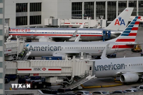 Máy bay của American Airlines tại sân bay quốc tế Miami ở bang Florida. (Nguồn: AFP/TTXVN)