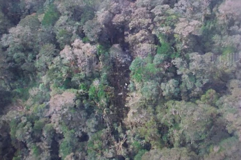 Hiện trường vụ máy bay rơi là khu vực rừng rậm (Nguồn: AFP)