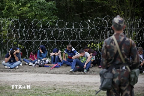 Người di cư bị bắt giữ sau khi vượt qua hàng rào tại biên giới Hungary- Serbia ngày 15/9. (Nguồn: Reuters/TTXVN)