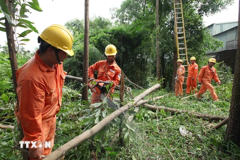 Công nhân Công ty Điện lực Sóc Sơn cắt tỉa cây trong hành lang bảo vệ an toàn lưới điện tại xã Trung Giã, huyện Sóc Sơn, Hà Nội. (Ảnh: Ngọc Hà/TTXVN)