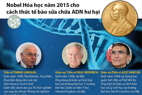 [Infographics] Cơ chế sửa chữa ADN hư hại giành giải Nobel Hóa học