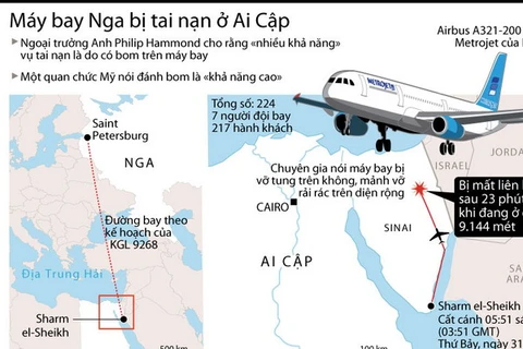 [Infographics] Toàn cảnh cuộc điều tra vụ rơi máy bay ở Ai Cập