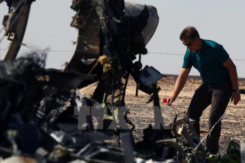 Bộ trưởng Giao thông Nga Maxim Sokolov điều tra tại hiện trường máy bay rơi ở Hassana, thành phố Arish (Bắc Ai Cập) ngày 1/11. (Nguồn: THX/TTXVN)