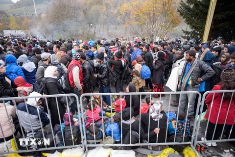 Người di cư đợi xe buýt tại khu vực Sentilj, Đông Bắc Slovenia nhằm tiếp tục hành trình đi qua biên giới Slovenia-Áo. (Nguồn: AFP/TTXVN)