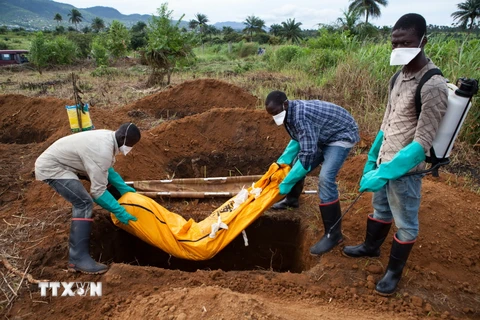 Nhân viên y tế chuyển một bệnh nhân Ebola tử vong ở Waterloo, cách thủ đô Freetown khoảng 30km. (Nguồn: AFP/ TTXVN)