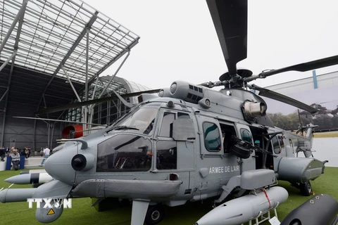 Máy bay trực thăng quân sự Airbus Caracal H225M. (Nguồn: AFP/TTXVN)
