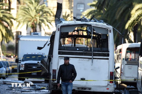 Cảnh sát Tunisia điều tra tại hiện trường vụ tấn công ở Tunis ngày 25/11. (Nguồn: AFP/TTXVN