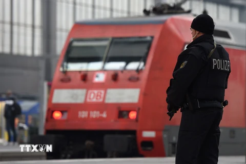 Cảnh sát Đức tuần tra tại nhà ga trung tâm Munich ngày 1/1/2016. (Nguồn: AFP/TTXVN)