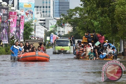 Đường phố ở Thủ đô Jakarta bị ngập sâu trong nước. (Nguồn: antaranews.com)