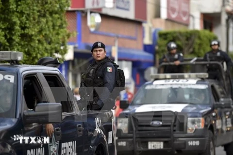Mexico bắt giữ thêm một trùm tổ chức buôn bán ma túy sừng sỏ