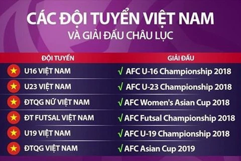 Thất bại SEA Games 29 và sự ra đi của HLV Hữu Thắng đã phủ một bóng đen lên những thành công đáng nhớ của bóng đá trẻ Việt Nam trong năm 2017