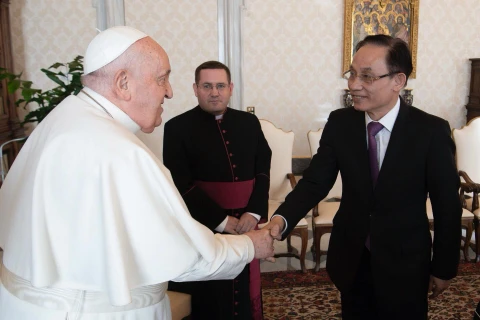 Đồng chí Lê Hoài Trung, Bí thư Trung ương Đảng, Trưởng Ban Đối ngoại Trung ương hội kiến Giáo hoàng Francis. (Ảnh: TTXVN phát)