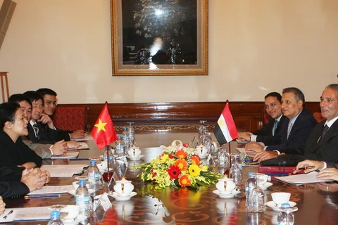Tăng cường quan hệ hữu nghị hợp tác Việt Nam-Ai Cập