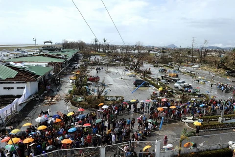 Không có công dân Việt tại Philippines chết vì bão