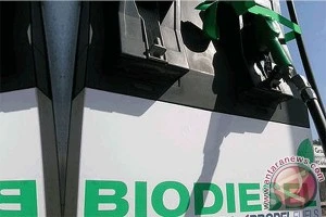 EU áp thuế phá giá diesel sinh học từ Argentina, Indonesia