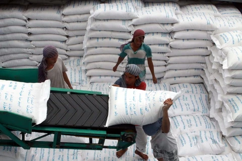 Cần Thơ phấn đấu xuất khẩu 1 triệu tấn gạo năm 2014