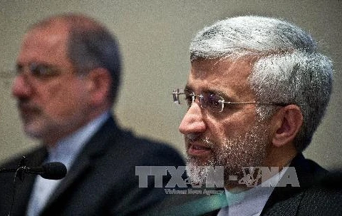 Trưởng đoàn đàm phán hạt nhân Iran Saeed Jalili (phải) trong cuộc họp báo tại Ấn Độ ngày 4/1/2013. (Nguồn: AFP/TTXVN)