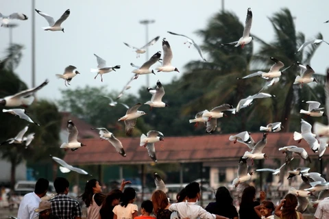 Myanmar-Liên hợp quốc hợp tác cải thiện an ninh xã hội