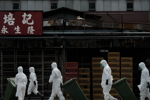 Thêm các trường hợp tử vong vì H7N9 tại Trung Quốc