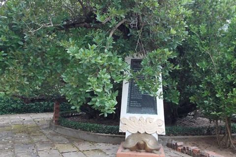 Công nhận "cây di sản" cho cây bạch mai 300 tuổi