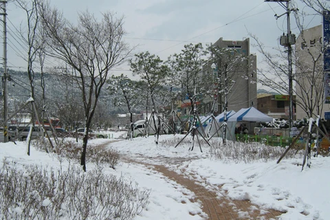 Hàn Quốc: Sập khu nghỉ dưỡng, 60 người bị chôn vùi