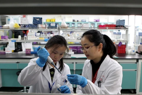 Các kỹ thuật viên tiến hành thí nghiệm đối với vaccine phòng cúm H7N9. (Nguồn: THX/TTXVN)