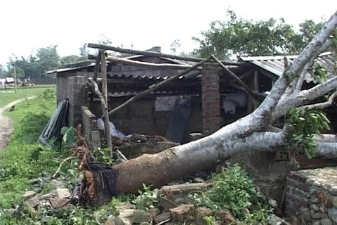 Quảng Ninh: Mưa lốc khiến nhiều ngôi nhà bị tốc mái
