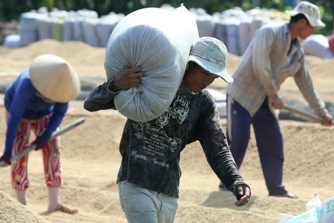 Tạm trữ 1 triệu tấn gạo: Nông dân chưa được hưởng lợi