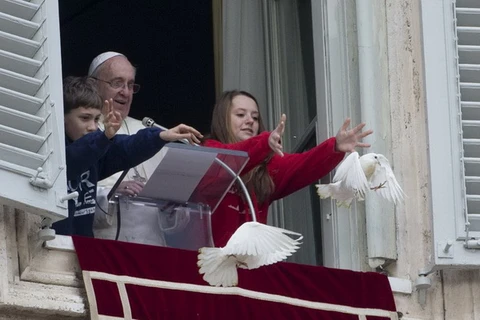 Vatican dùng chim ưng để bảo vệ bồ câu của Giáo hoàng