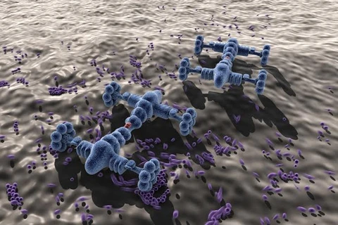 Cấy nanobot vào cơ thể gián, thử nghiệm điều trị khối u