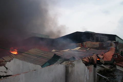 Thông tin mới nhất của Diana về vụ cháy tại KCN Vĩnh Tuy
