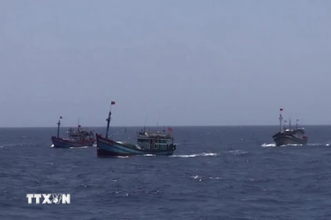 “Mang áo giáp” cho tàu vươn khơi, bám biển an toàn 