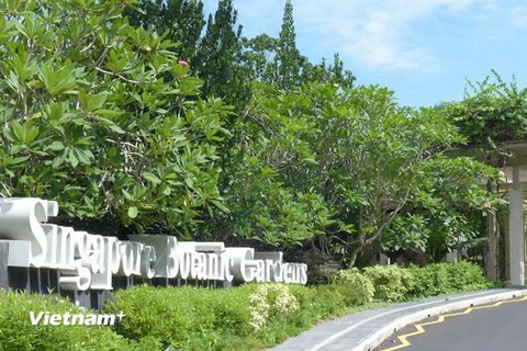 Singapore Botanic Gardens tiếp tục là công viên đẹp nhất châu Á