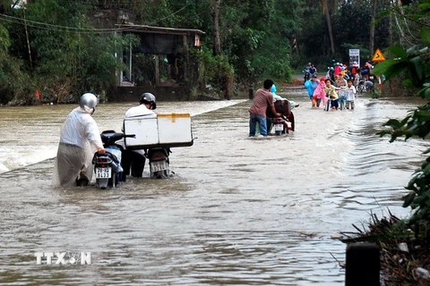 Phú Yên khởi công dự án thoát lũ, cứu nạn vượt sông Kỳ Lộc