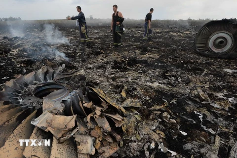 Việt Nam gửi lời chia buồn tới thân nhân các nạn nhân vụ rơi máy bay