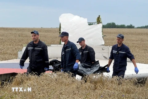 Hà Lan cử cảnh sát hỗ trợ tìm kiếm tại hiện trường vụ MH17