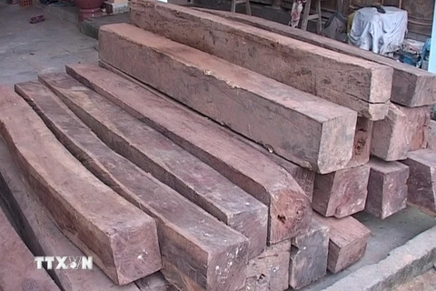 Quảng Nam bắt giữ vụ vận chuyển gỗ trái phép với quy mô lớn