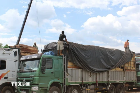 Quảng Trị: Kẹt cứng phương tiện giao thông ở cửa khẩu La Lay