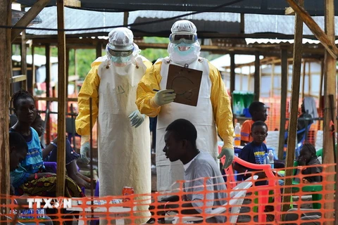 Kenya cấm du khách đến từ 3 nước bùng phát dịch bệnh Ebola