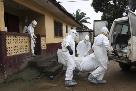 Chuyên gia Mỹ: Virus Ebola có thể đẩy thế giới vào thảm họa