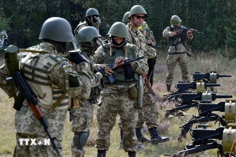 Thủ tướng Ukraine phủ nhận xung đột ở miền Đông là "nội chiến"